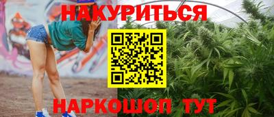прущие грибы Камышлов