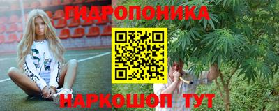 ГАЛЛЮЦИНОГЕННЫЕ ГРИБЫ Канаш