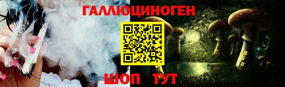 Кувандык  Псилоцибиновые грибы GOLDEN TEACHER  Псилоцибиновые грибы Psilocybine cubensis  Вход с VPN 